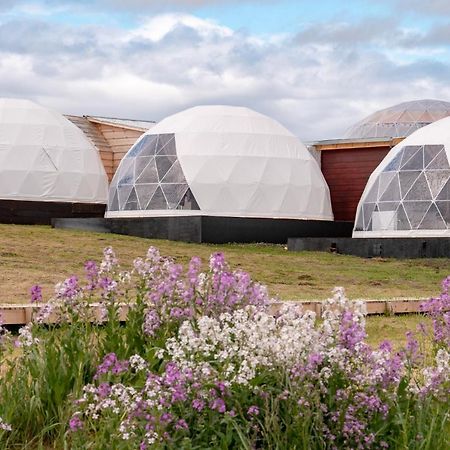 Garden Domes Villa Puerto Natales Kültér fotó