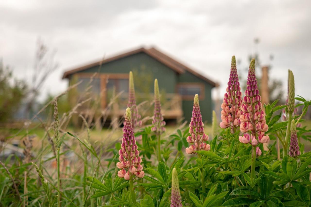 Garden Domes Villa Puerto Natales Kültér fotó