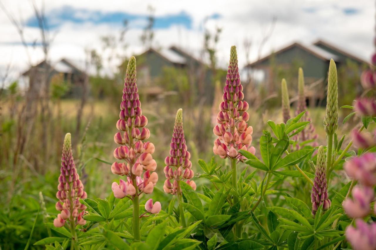 Garden Domes Villa Puerto Natales Kültér fotó