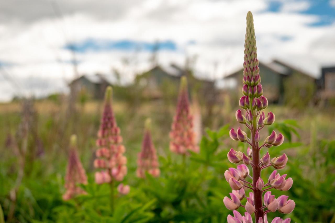 Garden Domes Villa Puerto Natales Kültér fotó