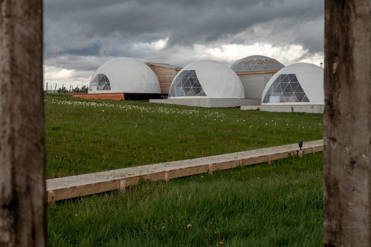 Garden Domes Villa Puerto Natales Kültér fotó