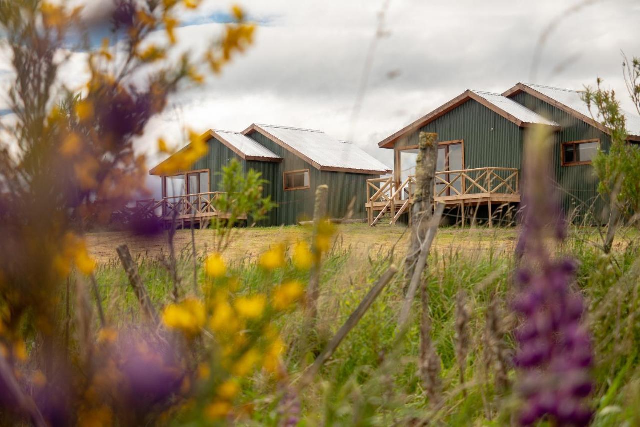 Garden Domes Villa Puerto Natales Kültér fotó