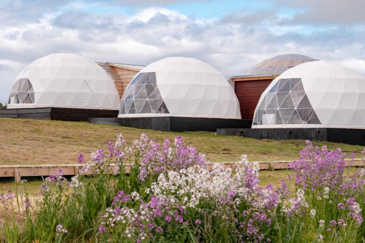 Garden Domes Villa Puerto Natales Kültér fotó