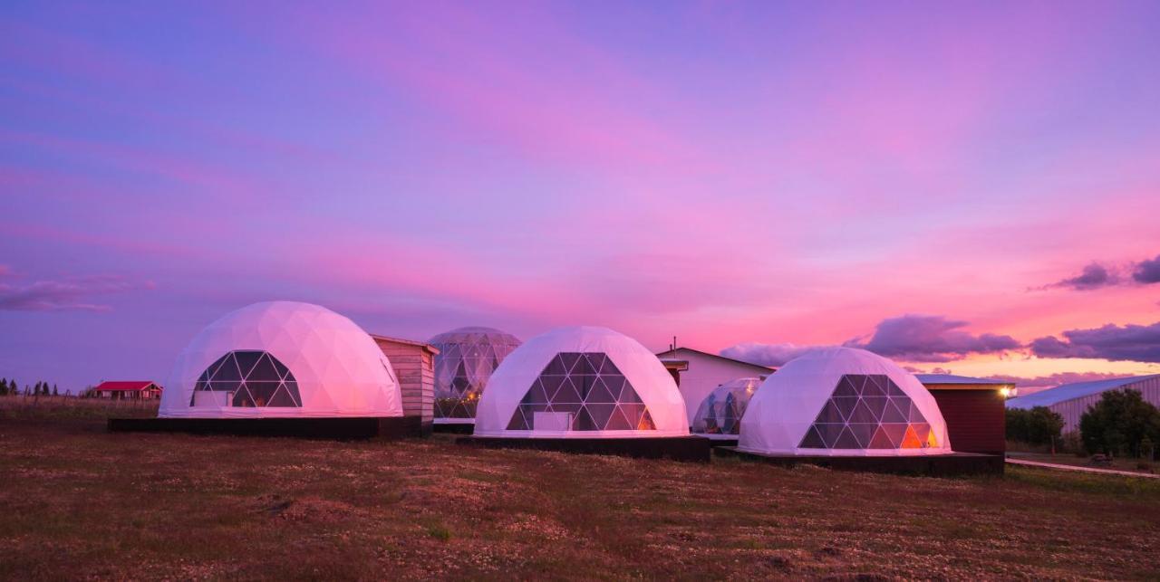 Garden Domes Villa Puerto Natales Kültér fotó